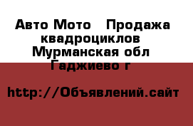 Авто Мото - Продажа квадроциклов. Мурманская обл.,Гаджиево г.